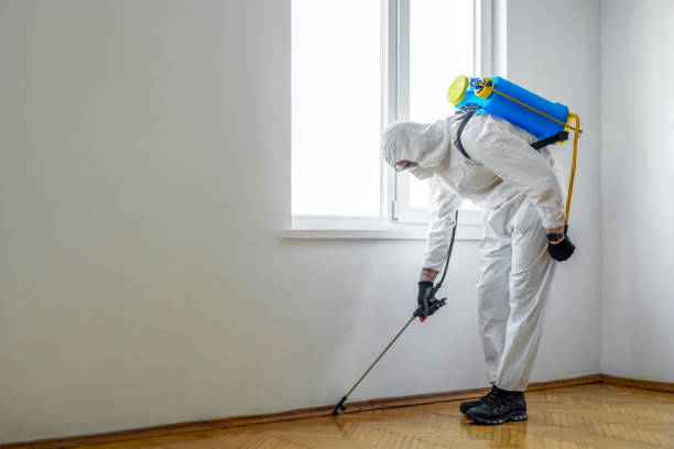 Wasp Removal Services in Catlin, IL